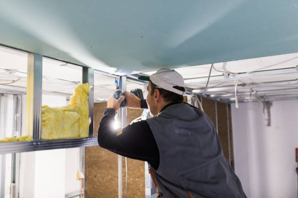 Best Commercial Insulation in Pleasantville, IA