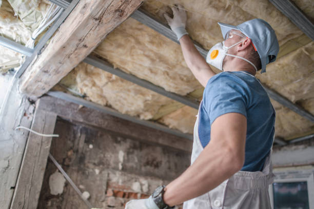 Best Specialty Insulation in Pleasantville, IA