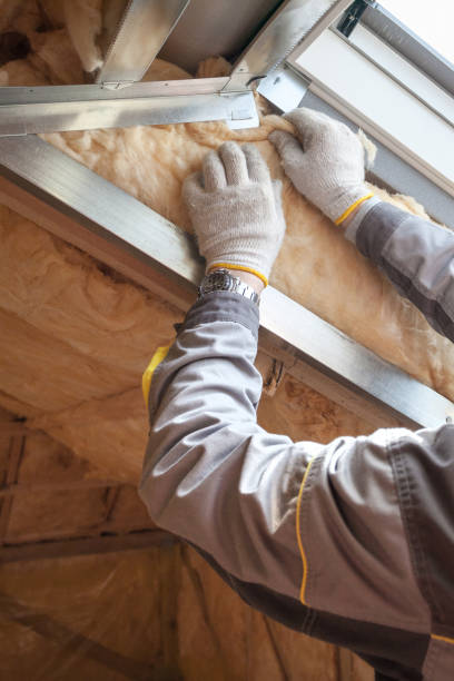 Best Types of Insulation in Pleasantville, IA